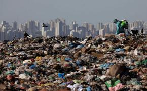 Минприроды обеспокоено мусорными свалками близ аэропортов
