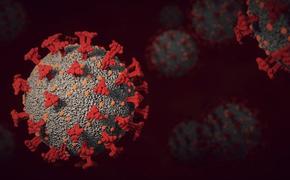 Вирусолог Чумаков заявил, что «омикрон» значительно отличается от других штаммов коронавируса