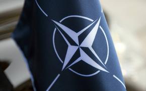 Немецкий политолог Рар: вхождение Украины в НАТО заморожено, возможно, навсегда