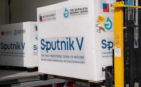 Австралийский регулятор признал препарат «Спутник V» для подтверждения статуса вакцинации иностранных граждан