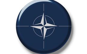 Политолог Мирзаян исключил возможность членства Украины в НАТО