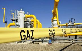 Европа мечется между российскими и американскими поставщиками газа