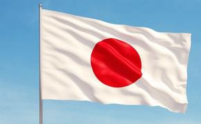 «В год Тигра надо вести себя наступательно»: Япония  меняет свою политику
