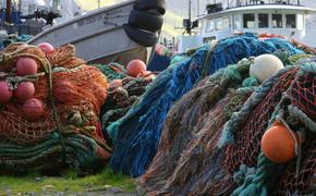 Выброшенные сети и орудия улова убивают морских обитателей