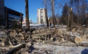 В Хабаровске построят гостиницу, несмотря на протесты горожан