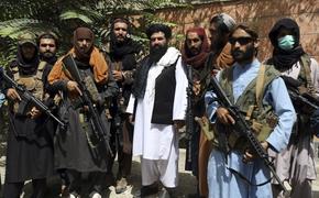 ФНС объявил о масштабной военной операции против «Талибана»