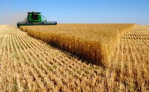 Россия станет основным бенефициаром грядущего глобального продовольственного кризиса