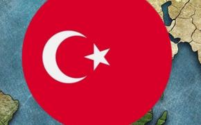 Политолог Владимир Брутер: «Финляндию и Швецию заставят пойти на уступки Турции»
