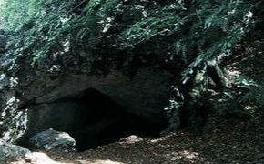 В крымской пещере нашли челюсти редкого медведя