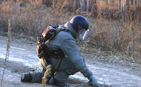 Народная милиция ДНР выложила видео разминирования саперами республики и России комбината «Азовсталь» в Мариуполе
