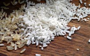 Минсельхоз предложил ввести запрет на вывоз риса из России с 1 июля по 31 декабря 2022 года
