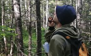 Специалисты защиты леса прочесали 50 километров троп Таганая