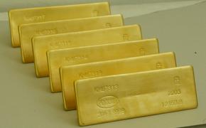 ЕС планирует внести в очередной пакет антироссийских санкций золото