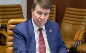 Сенатор Цеков: европейские политики делают воинственные заявления, поскольку понимают, что Украина проигрывает