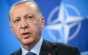 Эрдоган: Швеция и Финляндия не вступят в НАТО без одобрения парламента Турции 