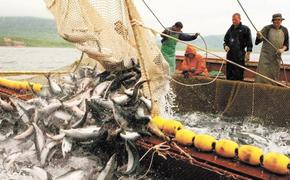 Вылов тихоокеанских лососей на Дальнем Востоке превысил 9 тысяч тонн