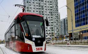 Администрация Перми закупит новые трамваи