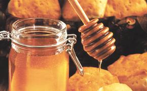 Экспорт мёда из России вырос в 2,5 раза, а на Украину – в 36 раз